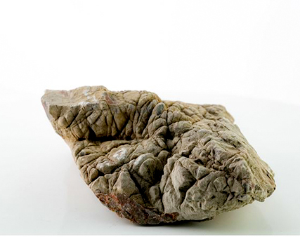 Pierres, roches – Aquariophile facile, en eau douce et marine.