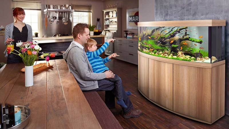 Aquarium Vision de Juwel