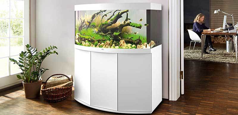 Aquarium vision de Juwel