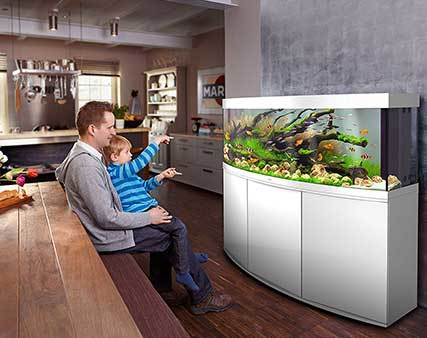 Aquarium Vision de Juwel