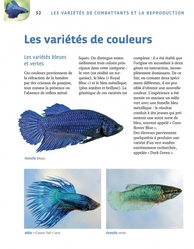 Livre guide les Poissons combattants