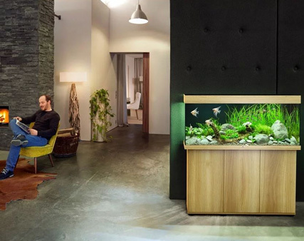 Aquariums marque Juwel