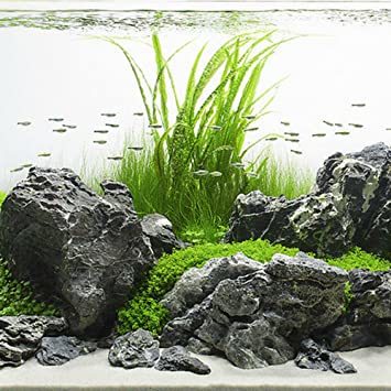 Roche naturelle pour aquarium et aquascaping Grey Mountain Keishou Stone