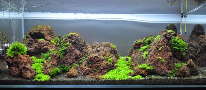 Roche naturelle volcanique LAVA ROCK pour Aquarium Taille S 5-10cm