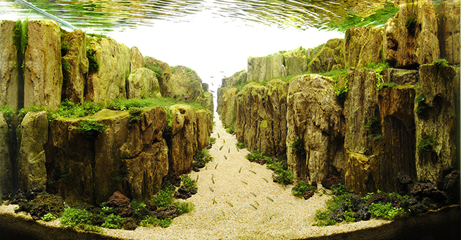 Goby Rock, roche naturelle pour aquarium et aquascaping