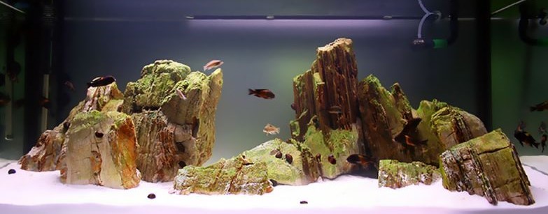 Roche naturelle pour aquarium light pagode Taille s