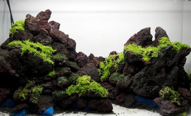 Roche naturelle pour aquarium et aquascaping Lava Rock