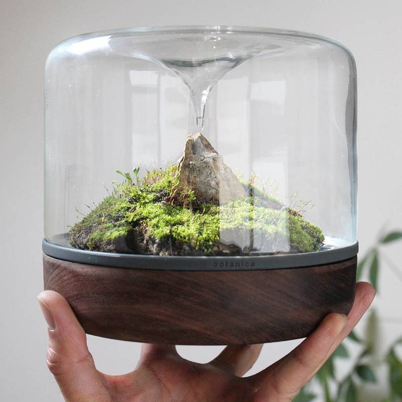 Terrarium Sanctuary Botanica