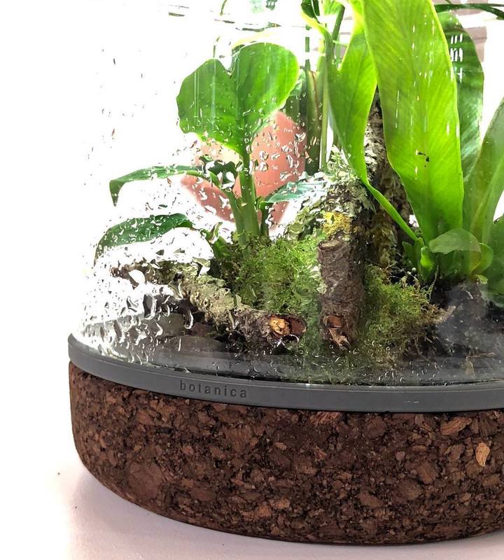 Terrarium Sanctuary Botanica