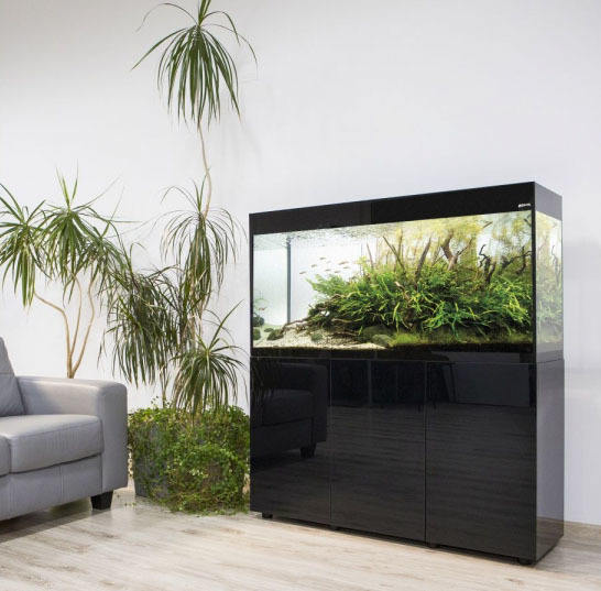 Aquarium glossy d'aquael