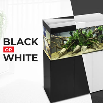 Aquarium Glossy Aquael-meuble