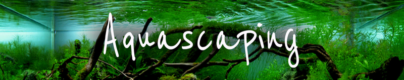 aquascaping-produits