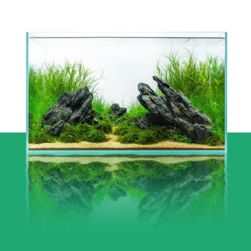 aquascaping avec Ultum Nature Systems
