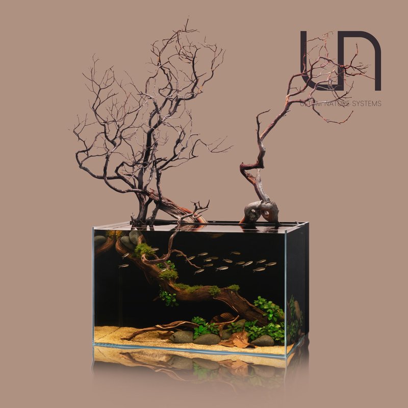 aquascaping Ultum Nature System