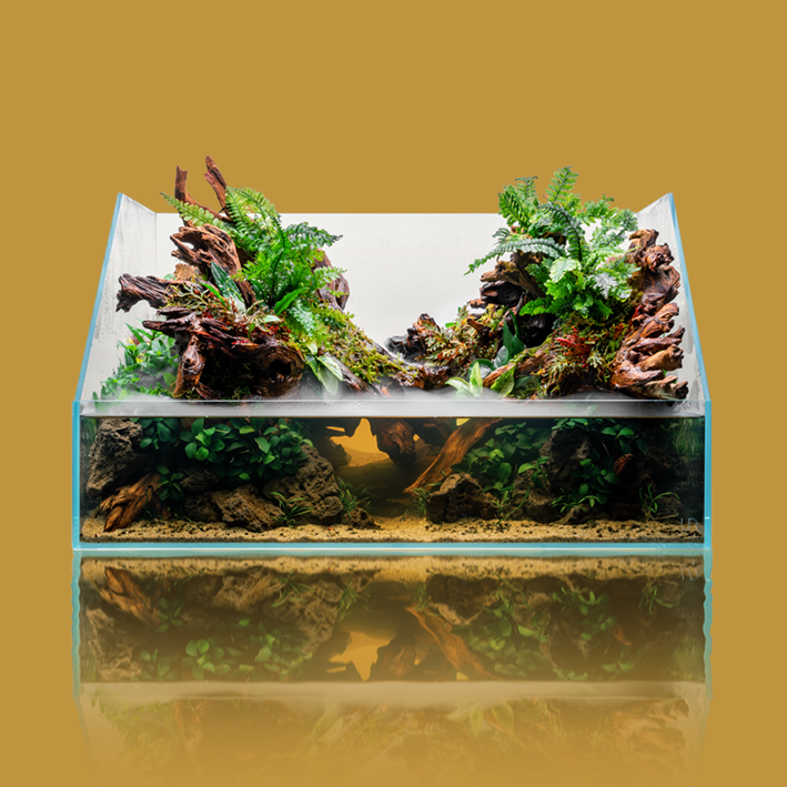 Qube 50 plant - pour aquarium d'eau douce