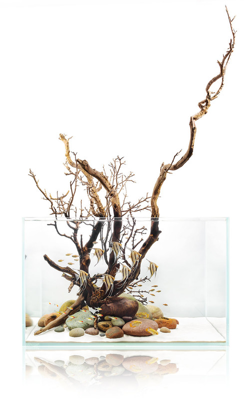 hardscape
