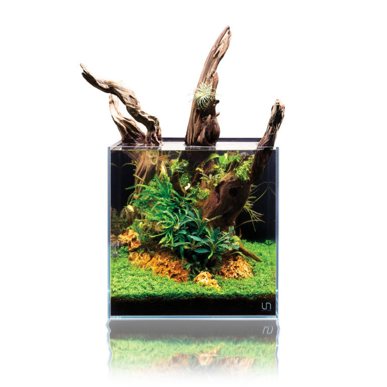 Nano Aquarium