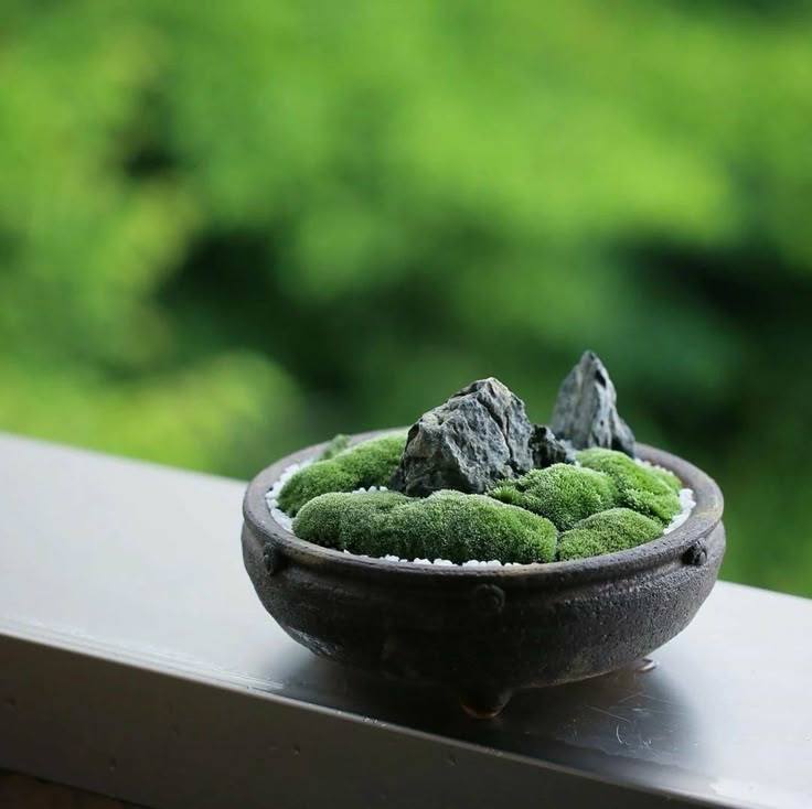 jardin-japonais