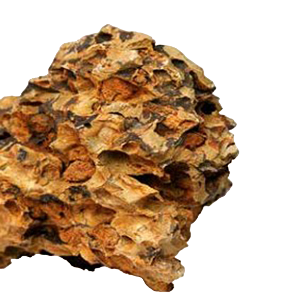 dragon stone