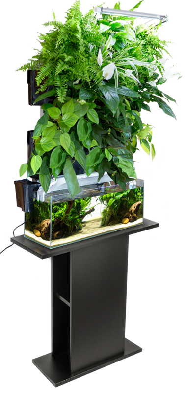 Vertical (Jardin vertical) : Style d'aquascape