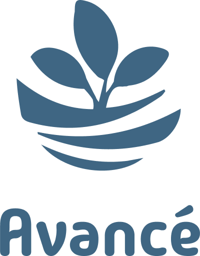 Niveau Débutant