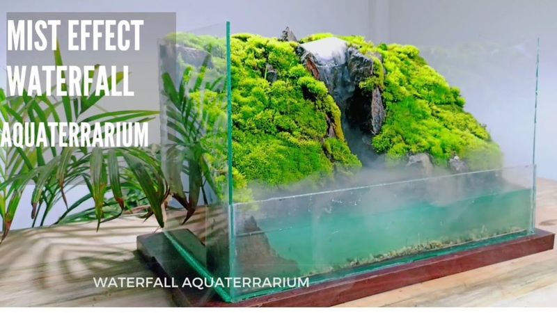 Installation pompe cascade filtre brumisateur éclairage LED paludarium