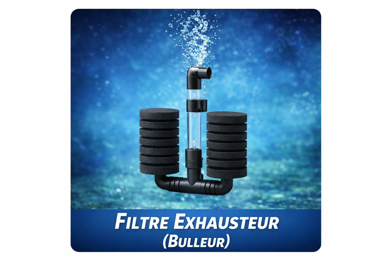  Le filtre exhausteur (bulleur)